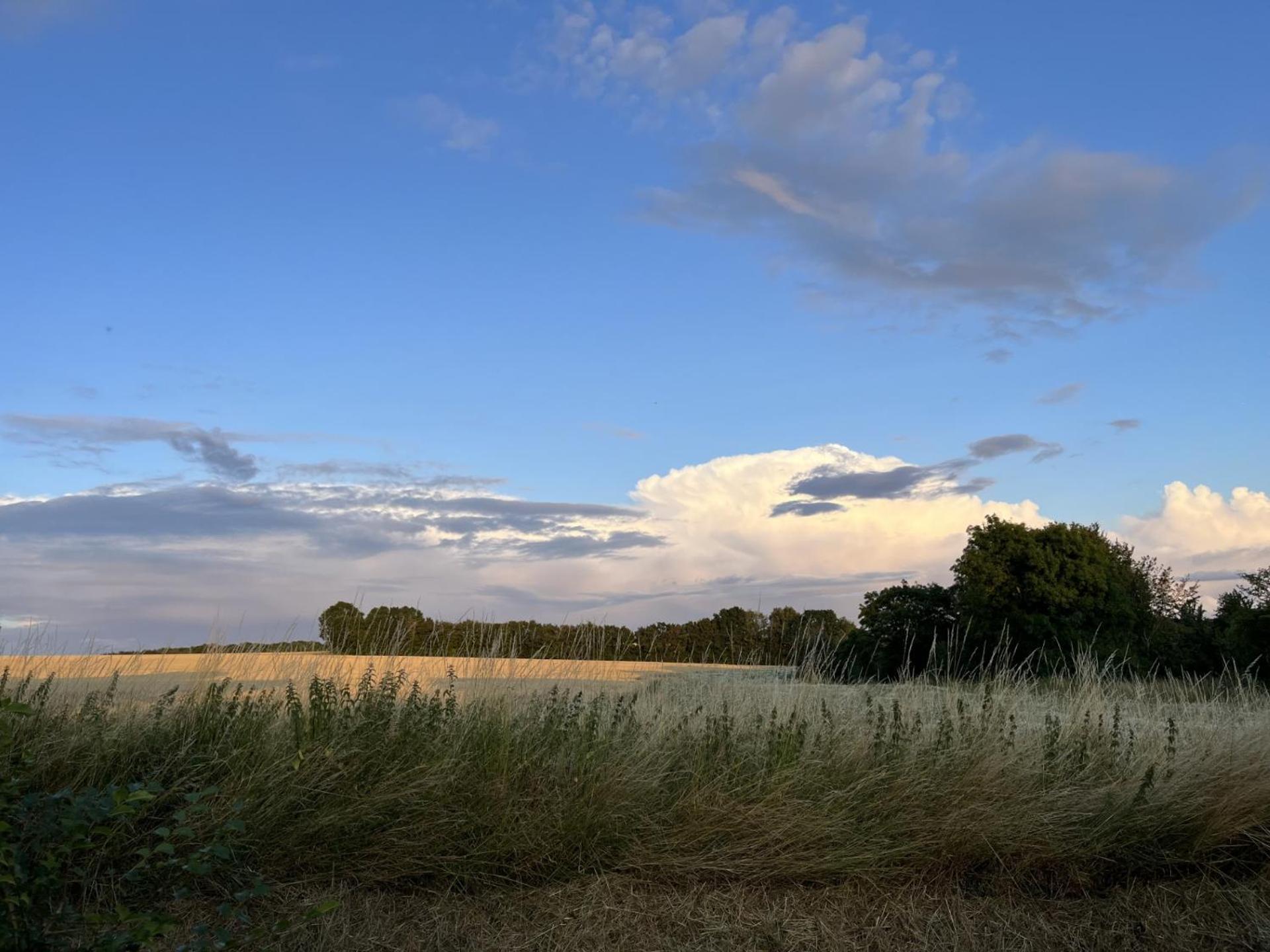 Willow Barn, Long Melford Εξωτερικό φωτογραφία